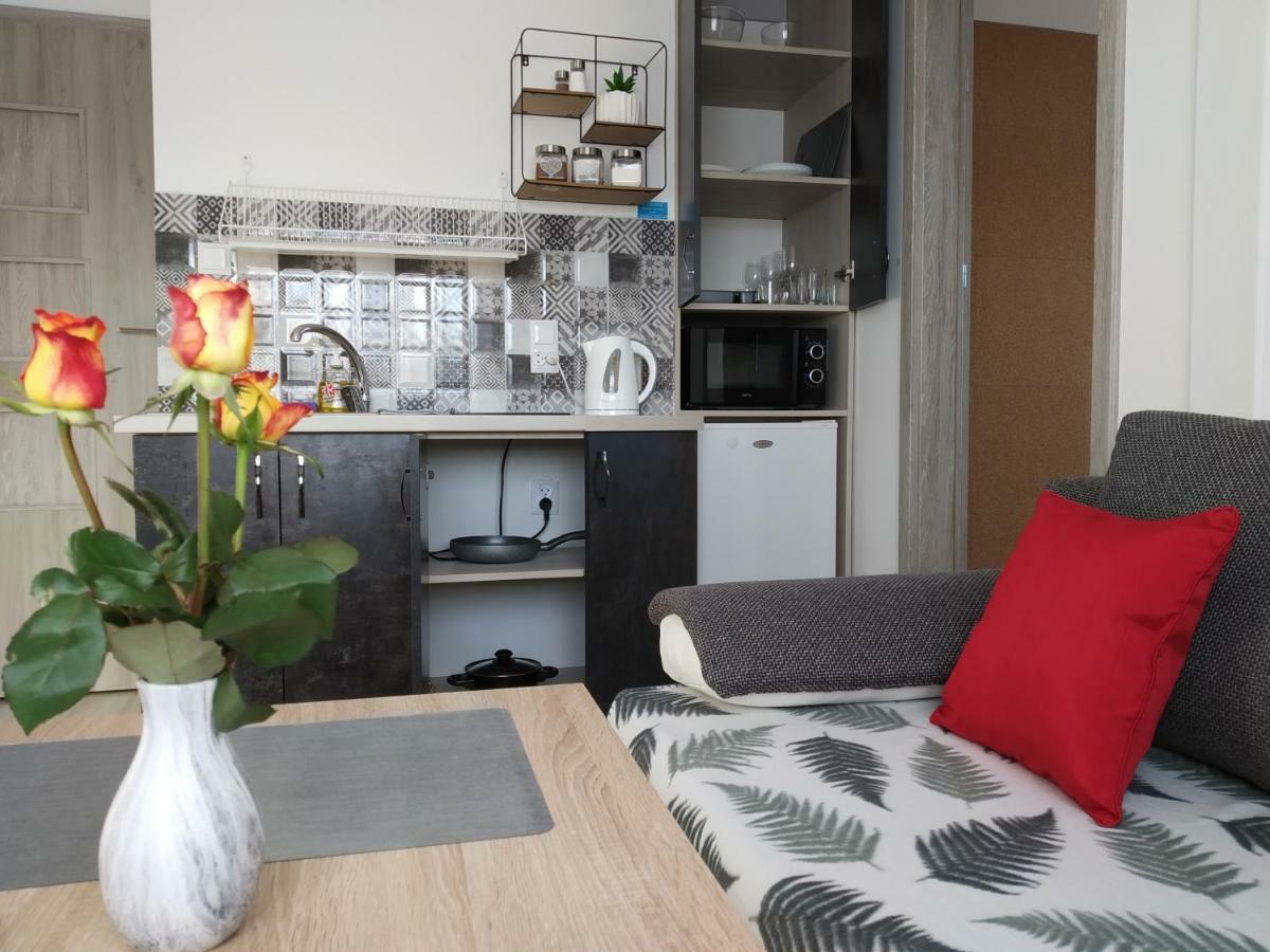 אוגוסטוב City Center Apartments - Apartamenty Nad Rzeka Netta מראה חיצוני תמונה